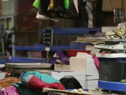 LS, PAN Woman weighing a live giant crab on scales for a customer at Noryangjin Fish Market / Seoul, South Korea Stock Footage