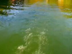 River Series Stock Footage