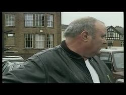 Man Attacked by Seagull Every Day News Clip