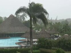 Tropical rain 2  60i Stock Footage