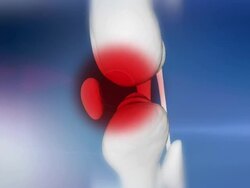 HD: Human Skeleton Indicates Cruciate Ligament Stock Footage