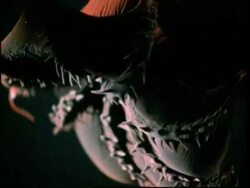 Vampire squid (Vampyroteuthis diabolus) short sequence Stock Footage