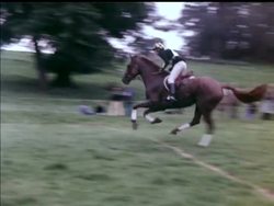 THE BURGHLEY HORSE TRIALS News Clip