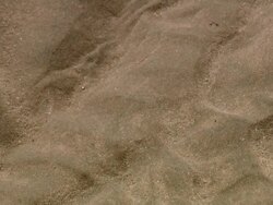 CU TU POV Shot of beach sand / Doha, Qatar  Stock Footage