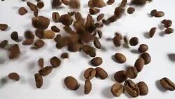 coffee beans Stock Footage