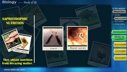 Modes of Nutrition in Living Organisms Instructional Video