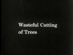 Montage showing effects of excessive deforestation Stock Footage