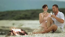 SLO MO Couple making a toast on beach by fire Stock Footage
