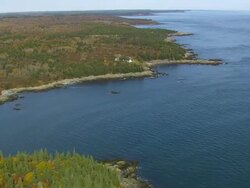WS ARIEAL View of Pine tree at sea coast / Maine, United States Stock Footage