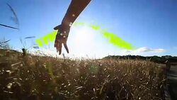 Hand of a woman caressing wheat field Stock Footage