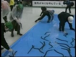 JAPAN: EEL FISHING COMPETITION (V) News Clip