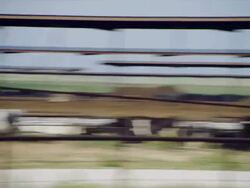 Dairy cows confined in large high density feed lot Stock Footage