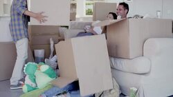 Portrait of girl with stuffed animals under moving box Stock Footage