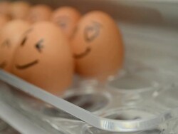 Put the emotion eggs in to Refrigerator Stock Footage