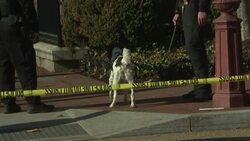 DC Prepares for Trump Inauguration, Protests News Clip