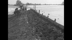 Great Flood of 1927 at Bayou des Glaises in Louisiana News Clip