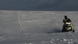 CLEAN : Reindeer at risk from Arctic hot spell News Clip