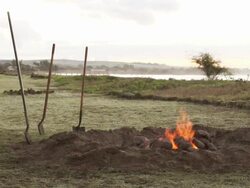 MS Shot of fire burning with 3 shovels in ground with water in distance / kauai, hawaii, united states Stock Footage