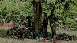 CLEAN : Before peace deal FARC rebels treat wounded in Colombia jungle News Clip