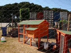 Australian Garden Show Sydney - Media Preview Stock Footage