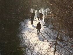 Winter walk in sunshine Stock Footage