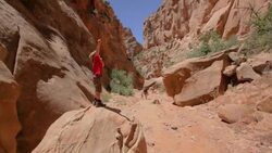 Young hiker boy stands on top of a rock inside a canyon with arm stretched up excitedly Stock Footage