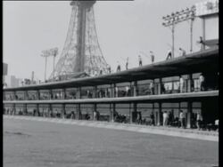 Golf becomes very popular in Japan Stock Footage