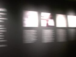 Christie's Previews the Ponahalo Diamonds Before Auction Stock Footage