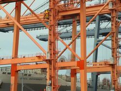 Container Cargo freight ship Stock Footage