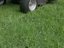 Close-up of Ride-on Lawn Mower with Grass Cuttings Scattering Stock Footage