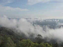 Timelapse of cloud vapor rising over rainforest Stock Footage