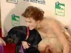 Twentieth Anniversary Genesis Awards Stock Footage