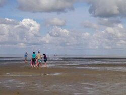 WS View of family walking down in sea ebb tide at wadden sea, North Sea North Frisia / Westerhever, Schleswig Holstein, Germany Stock Footage