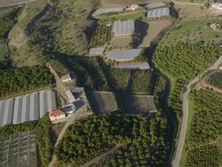 Aerial view of avocado and citrus plantations, Malaga, Andalusia, Spain Stock Footage