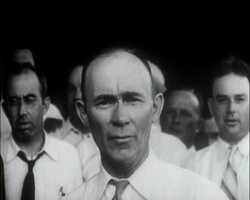 TOBACCO AUCTION - News Clip