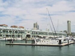 Yachts at the Finger Wharf at Woomoolloomoo Bay, Sydney, New South Wales, Australia Stock Footage