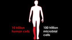 Rob Knight: How our microbes make us who we are Instructional Video