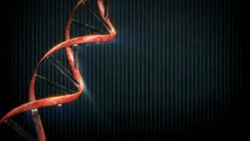 A strand of red DNA rotates as X-ray images flash in the background. Stock Footage