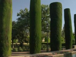 WS PAN statues and cypress hedges in the gardens of the Alcazar Palace Stock Footage