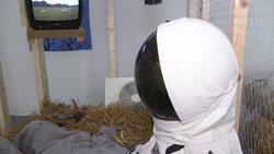 Egyptian artist Basim Magdy wins German art prize Instructional Video