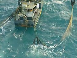 WS AERIAL ZI View of prawn fishing boat / Darwin, Northern Territory, Australia Stock Footage