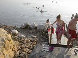 Swimmers enjoy Dead Sea Stock Footage