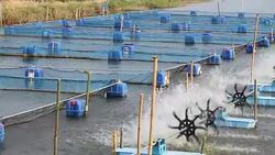 Surface aerator using to fill oxygen in the air to waste water Stock Footage