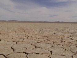  WS Cracks on arid desert ground / Mojave, California, USA Stock Footage