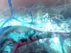 Brain Neurons Tracking natural Stock Footage