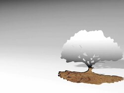 Tree cut out of paper Stock Footage