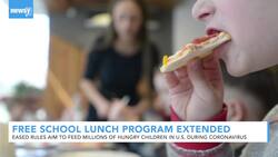 School Lunch Program Extended During Coronavirus Pandemic News Clip