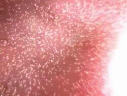 Galaxy to Earth Stock Footage