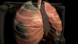 Let's Talk About: Tobacco Instructional Video