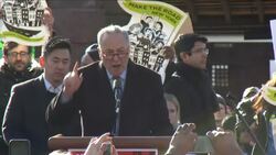 Schumer Blasts Immigration Order During Protests Instructional Video